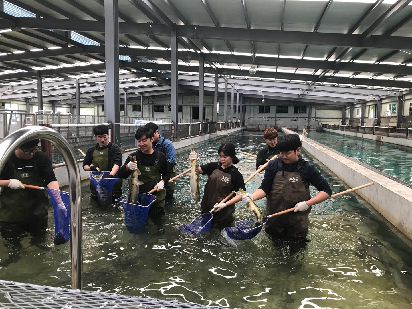 2017-2학기 양양 연어사업소 견학 대표이미지
